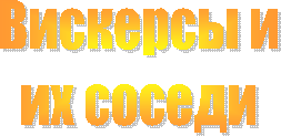 Вискерсы и
их соседи